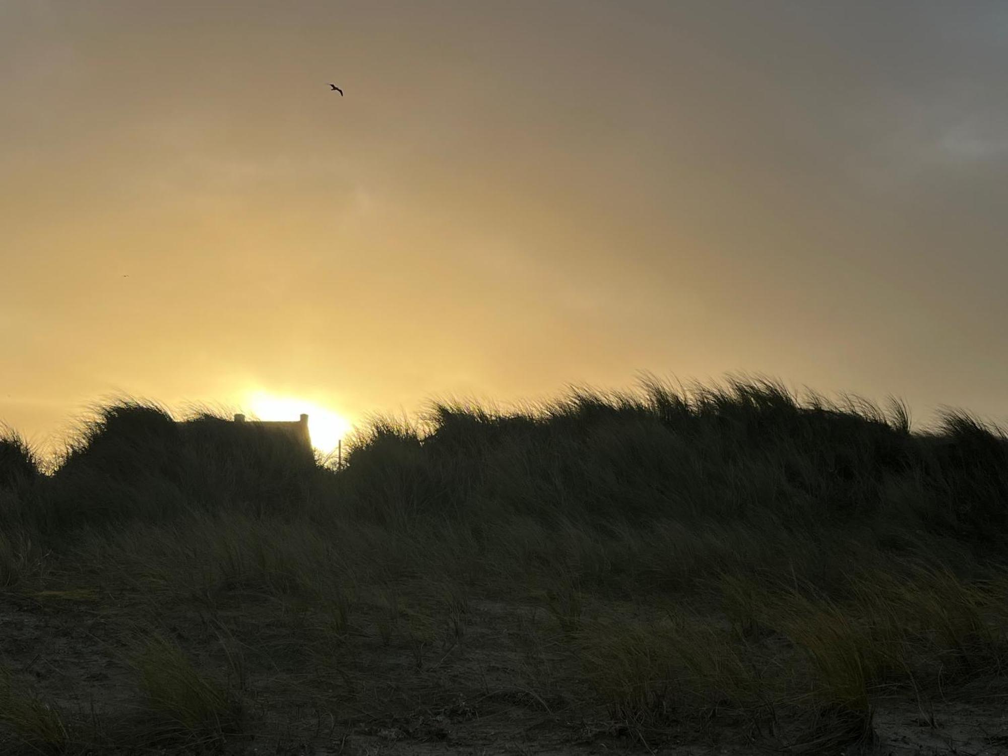 Logies La Parmentiere Daire De Panne Dış mekan fotoğraf